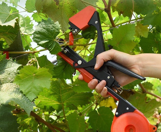 Grape Branch Tying Device