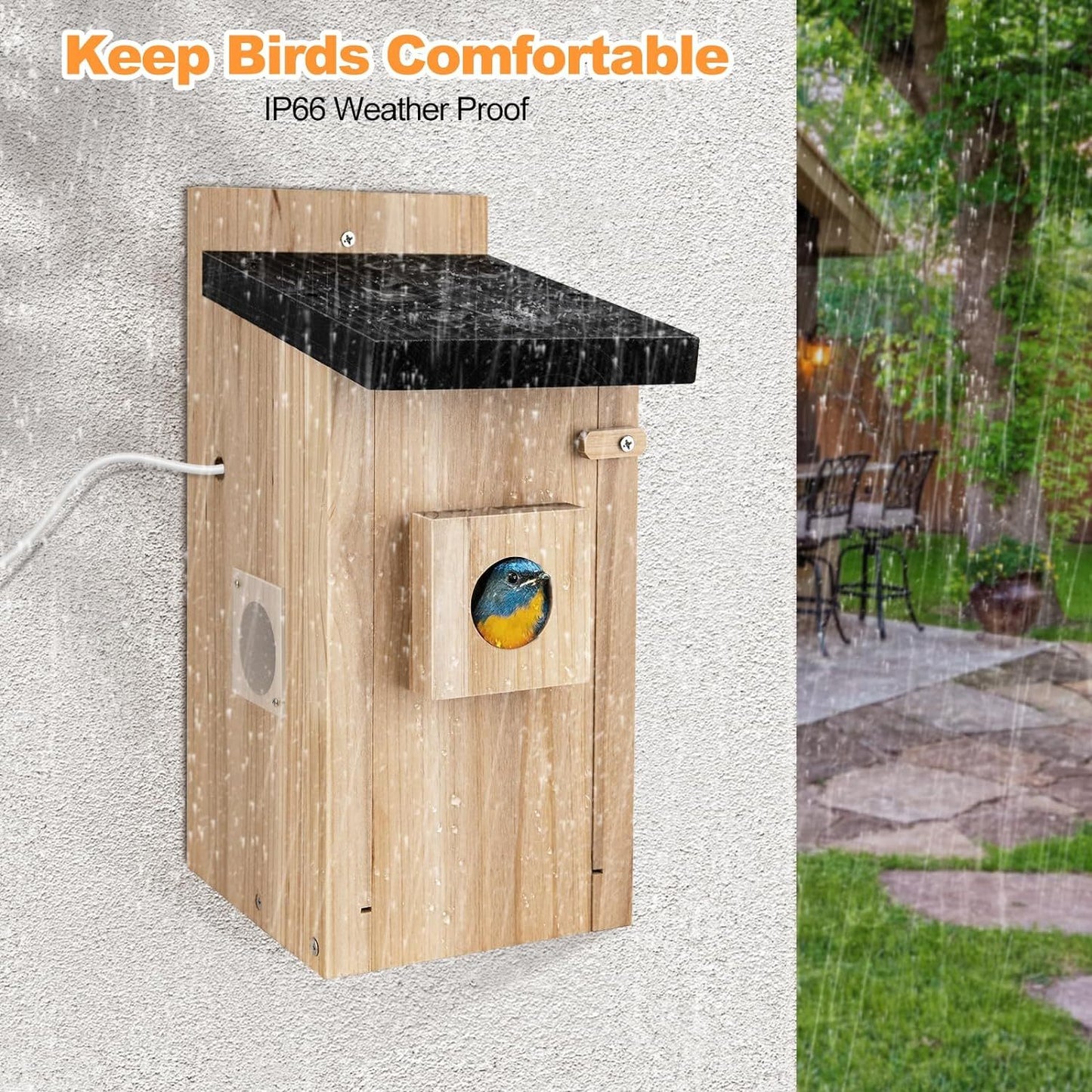 Smart Bird House