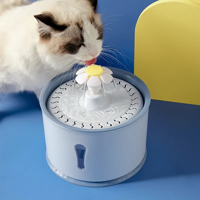 Pet Cat Drinking Water tool