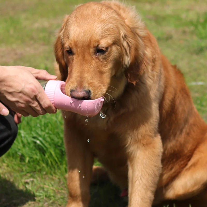 Dog Water Bottle