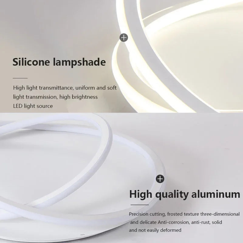 Modern LED Ceiling Lamp