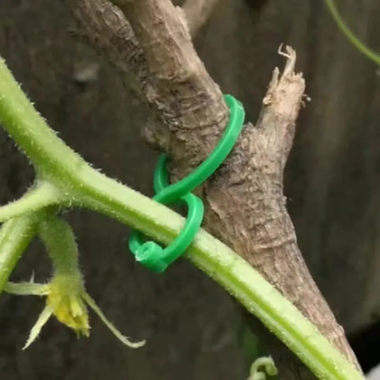 Plant Holder Clips