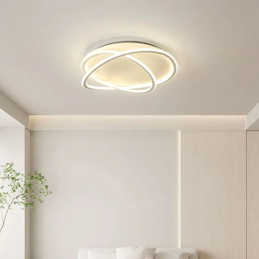 Modern LED Ceiling Lamp