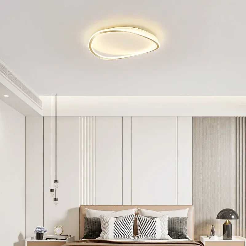 Modern LED Ceiling chandelier Lamp For Living Dining