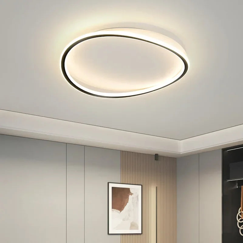 Modern LED Ceiling chandelier Lamp For Living Dining