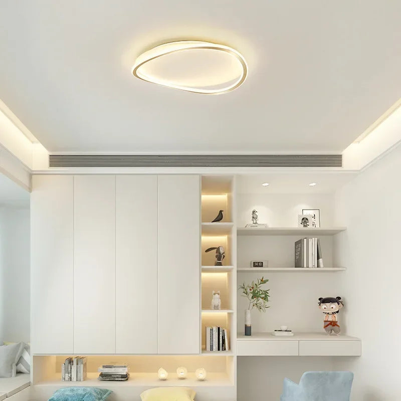 Modern LED Ceiling chandelier Lamp For Living Dining