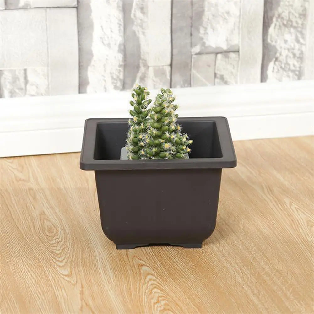 Flower Pot