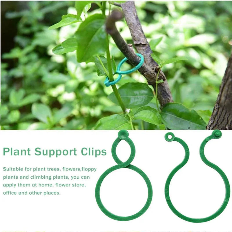 Plant Holder Clips