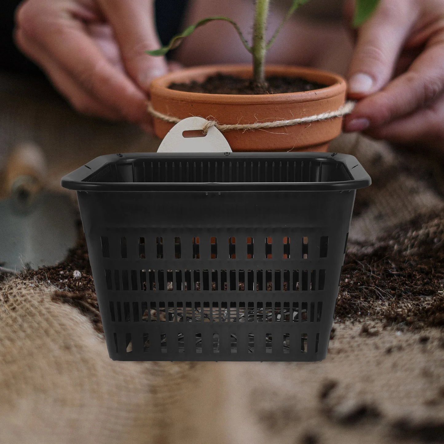 Growing Basket Plant Pot