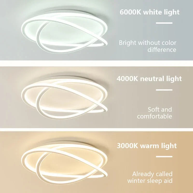 Modern LED Ceiling Lamp