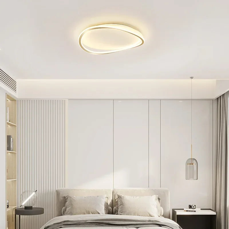 Modern LED Ceiling chandelier Lamp For Living Dining