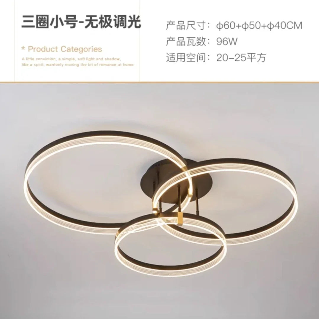 Moden Minimalist Led Ceiling Lamp With Bedroom