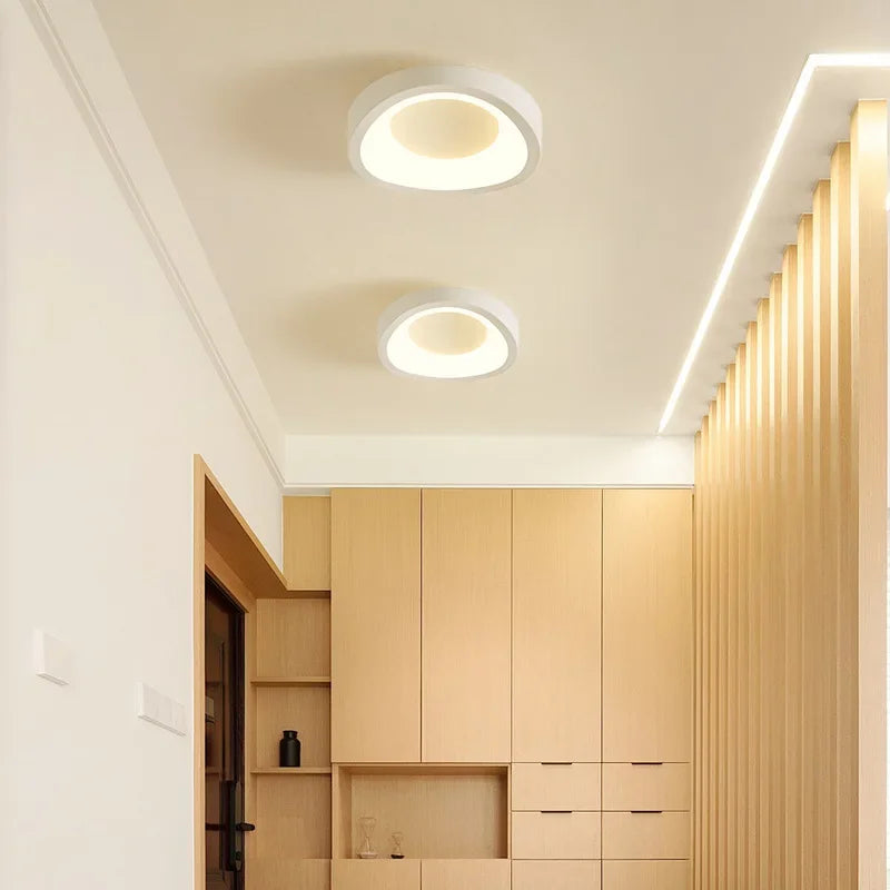 Nordic LED Ceiling Lamp For Living